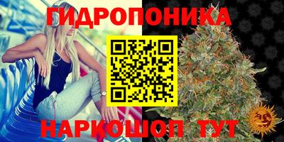 spice Северобайкальск
