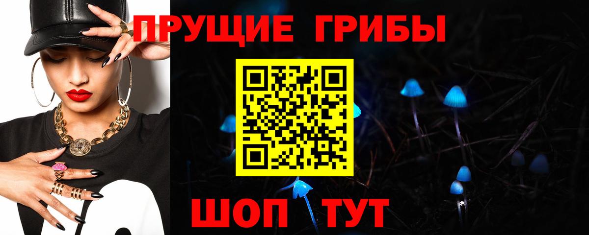 Электросталь  купить закладку  Галлюциногенные грибы прущие грибы  Вход с VPN  Псилоцибиновые грибы Cubensis 